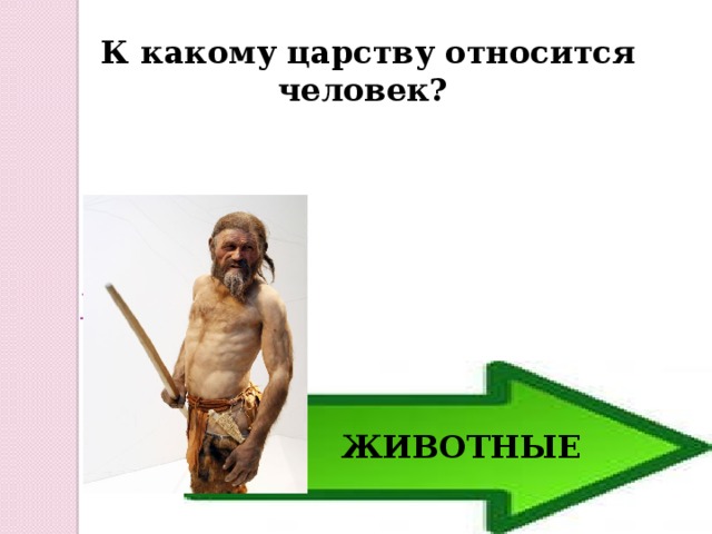 Человек относится к классу животных. К какому царству относится человек. Человек царство животные. Человек из царства животных. В каком царстве человек.