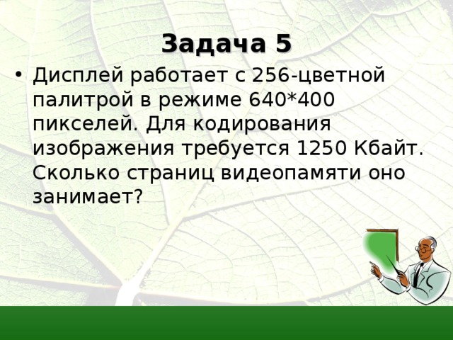 Монитор работает с 16 цветной палитрой в режиме 640х400 пикселей для кодирования изображения 1250 кб