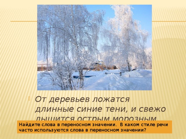 Значение слова дерево. Про деревья в переносном значении. Предложение со словом деревья в переносном значении. Предложения про дерево в переносном смысле. Предложение про дерево в переностно значени и.