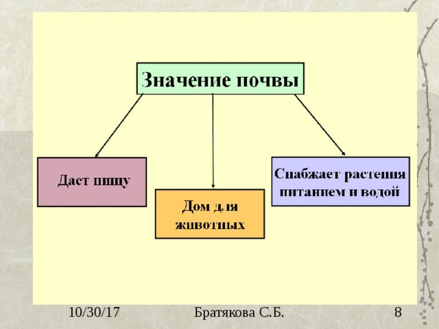 Значение почвы. Роль почвы в жизни растений. Значение почвы для растений и животных. Значение почвы схема.