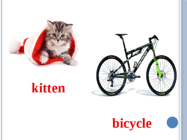      kitten   bicycle 