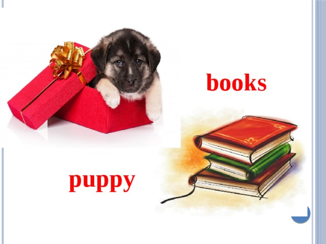 books    puppy 