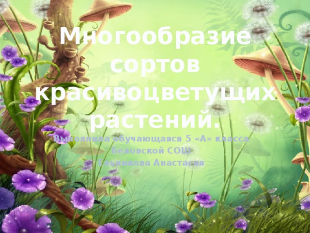 Многообразие сортов красивоцветущих растений. Выполнила обучающаяся 5 «А» класса Беловской СОШ Ельникова Анастасия 