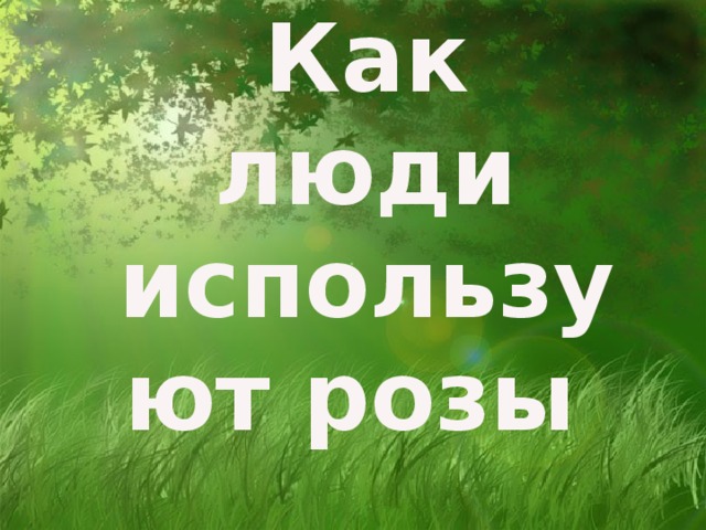 Как люди используют розы 