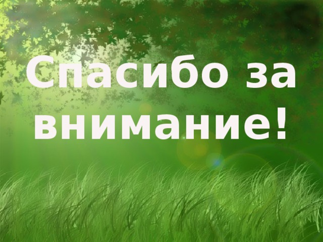 Спасибо за внимание! 
