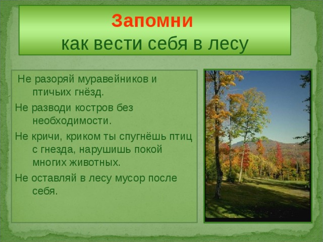 Запомни   как вести себя в лесу  Не разоряй муравейников и птичьих гнёзд. Не разводи костров без необходимости. Не кричи, криком ты спугнёшь птиц с гнезда, нарушишь покой многих животных. Не оставляй в лесу мусор после себя. 