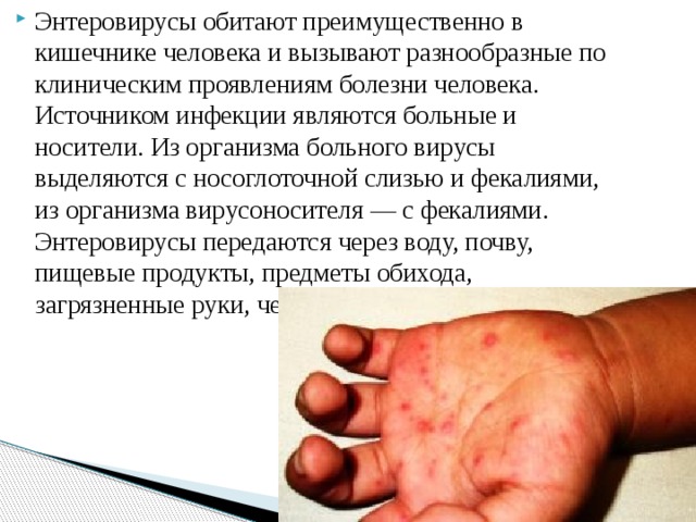 Энтеровирусы обитают преимущественно в кишечнике человека и вызывают разнообразные по клиническим проявлениям болезни человека. Источником инфекции являются больные и носители. Из организма больного вирусы выделяются с носоглоточной слизью и фекалиями, из организма вирусоносителя — с фекалиями. Энтеровирусы передаются через воду, почву, пищевые продукты, предметы обихода, загрязненные руки, через мух.  