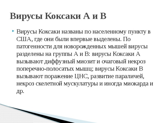 Вирусы Коксаки А и В  Вирусы Коксаки названы по населенному пункту в США, где они были впервые выделены. По патогенности для новорожденных мышей вирусы разделены на группы А и В: вирусы Коксаки А вызывают диффузный миозит и очаговый некроз поперечно-полосатых мышц; вирусы Коксаки В вызывают поражение ЦНС, развитие параличей, некроз скелетной мускулатуры и иногда миокарда и др. 