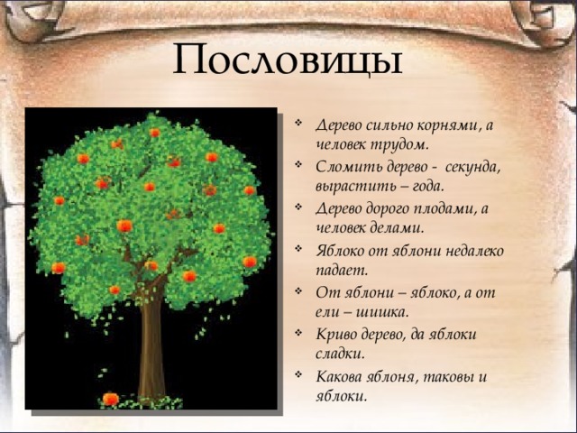 Пословица дерево живет. Поговорки про деревья. Пословицы о деревьях. Пословицы и поговорки о деревьях. Пословицы и загадки о деревьях.
