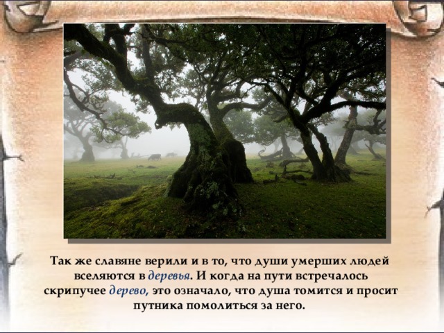 Так же славяне верили и в то, что души умерших людей вселяются в деревья . И когда на пути встречалось скрипучее дерево , это означало, что душа томится и просит путника помолиться за него. 