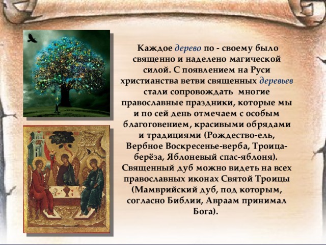  Каждое дерево по - своему было священно и наделено магической силой. С появлением на Руси христианства ветви священных деревьев стали сопровождать многие православные праздники, которые мы и по сей день отмечаем с особым благоговением, красивыми обрядами и традициями (Рождество-ель, Вербное Воскресенье-верба, Троица-берёза, Яблоневый спас-яблоня). Священный дуб можно видеть на всех православных иконах Святой Троицы (Мамврийский дуб, под которым, согласно Библии, Авраам принимал Бога). 