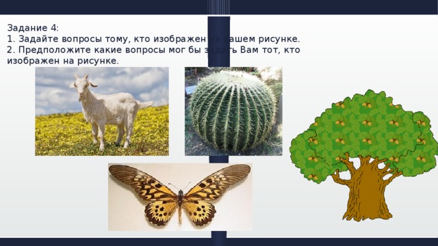 Задание 4:  1. Задайте вопросы тому, кто изображен на вашем рисунке.  2. Предположите какие вопросы мог бы задать Вам тот, кто изображен на рисунке. 