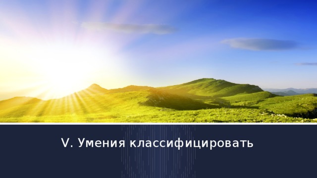 V. Умения классифицировать  