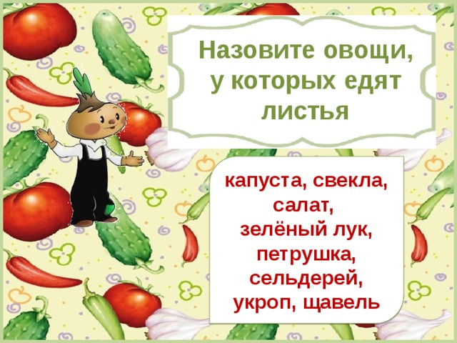 Что называется овощным