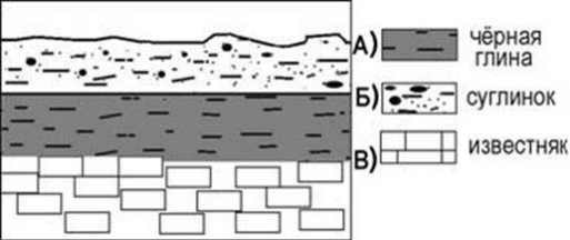 Залегания горных пород на обрыве. Задание 8 ОГЭ география залегание горных пород. Схема горных пород у берега реки. ОГЭ 8 задание география залегание слоев. Река с чёрной глиной.