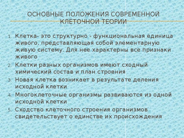 Выберите основные положения современной клеточной теории. Современные положения клеточной теории. Основные положения современной клеточной теории.