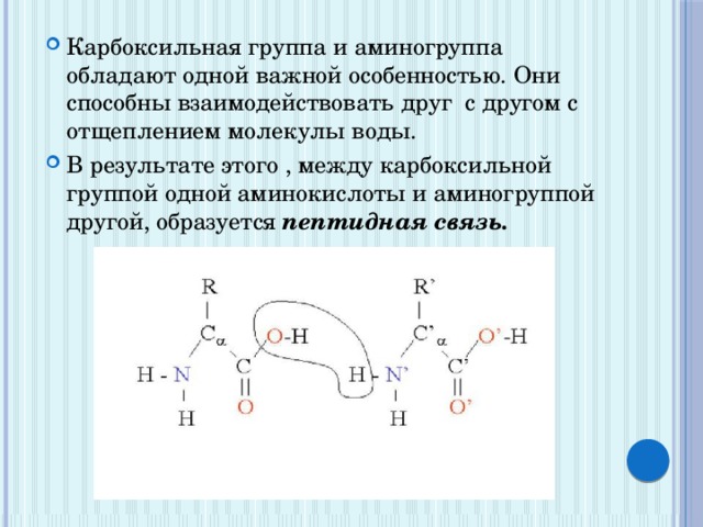 Свойства карбоксильной группы аминокислот. Аминогруппа и карбоксильная группа. Карбоксильная группа аминокислот. Белок аминокислоты аминогруппа карбоксильная группа схема. Концевые группы аминокислот.