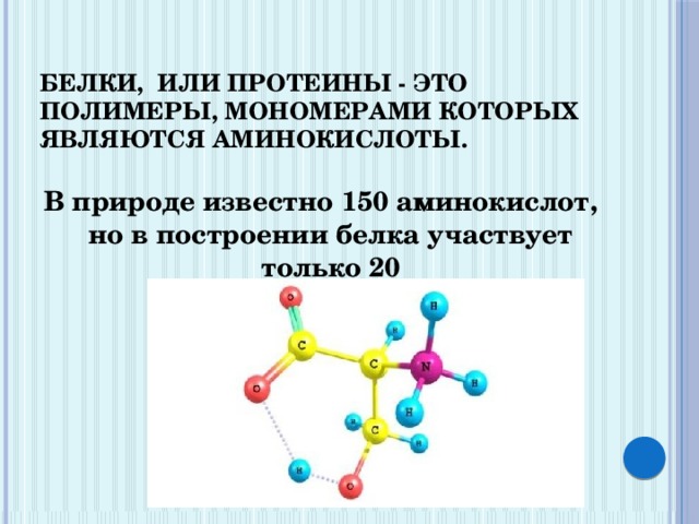 Аминокислоты мономеры белков