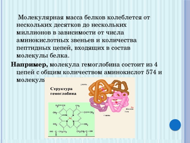 В какой белковой молекуле имеется железо. Молекулярная масса Белко. Аминокислотный состав белковой молекулы. Молекулярная масса белков колеблется. Молекулярный вес белков методы его определения.