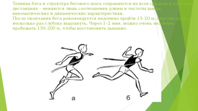 Окончание бега. Динамические структуры техники бега. Кинематические и динамические параметры техники бега. Динамические и кинематические структуры техники бега. Биомеханика бега на средние дистанции.