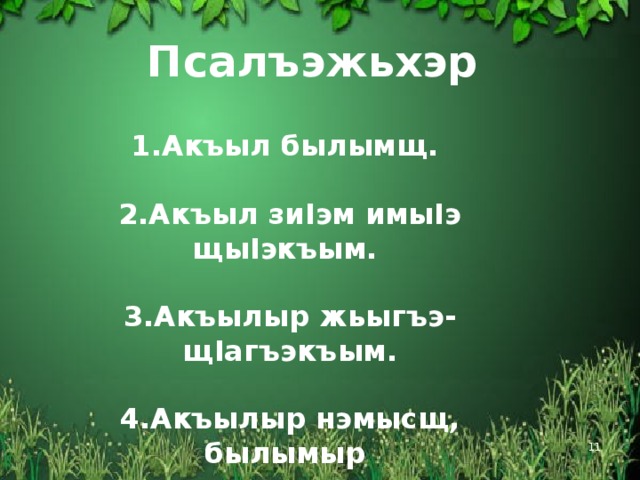 Си хэку презентация