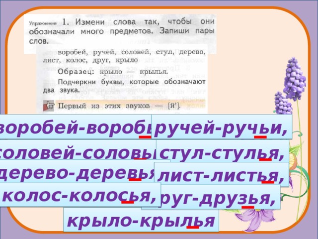 Запиши данные слова в таблицу воробьи обезьяна