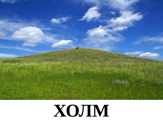 ХОЛМ 