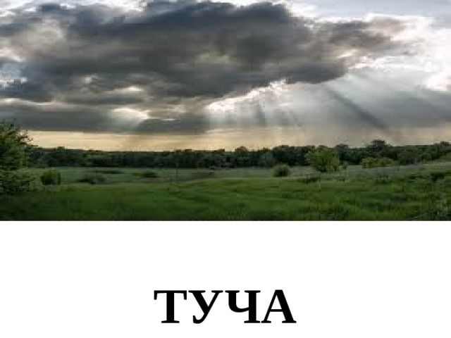 ТУЧА 
