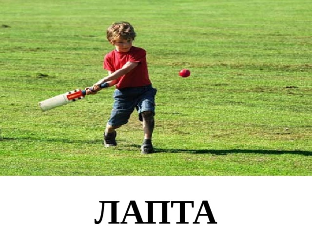 ЛАПТА 