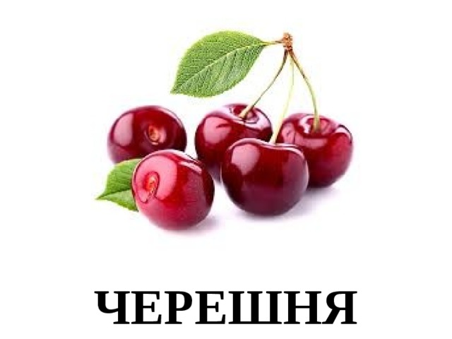 ЧЕРЕШНЯ 