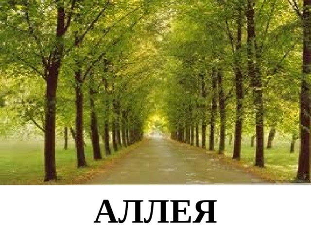 АЛЛЕЯ 