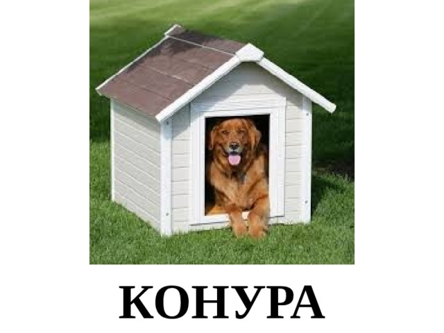КОНУРА 