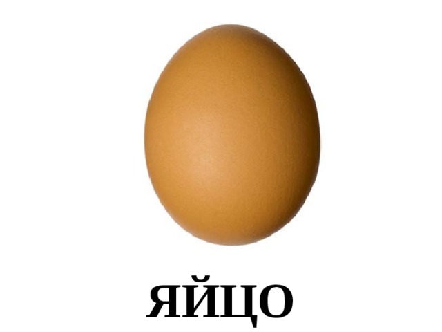 ЯЙЦО 