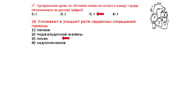 Кровь из сердечной камеры обозначенной на рисунке буквой б поступает в