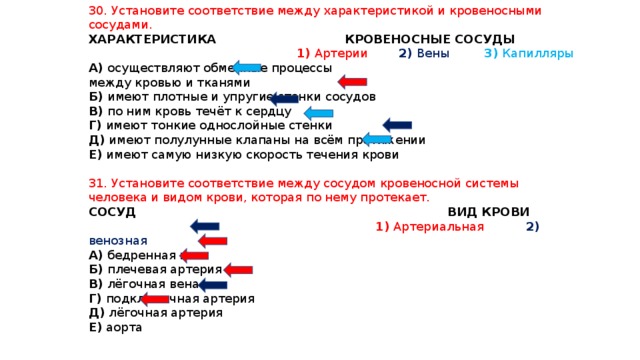 30. Установите соответствие между характеристикой и кровеносными сосудами. ХАРАКТЕРИСТИКА КРОВЕНОСНЫЕ СОСУДЫ  1) Артерии 2) Вены 3) Капилляры А) осуществляют обменные процессы между кровью и тканями Б) имеют плотные и упругие стенки сосудов В) по ним кровь течёт к сердцу Г) имеют тонкие однослойные стенки Д) имеют полулунные клапаны на всём протяжении Е) имеют самую низкую скорость течения крови 31. Установите соответствие между сосудом кровеносной системы человека и видом крови, которая по нему протекает. СОСУД ВИД КРОВИ  1) Артериальная  2) венозная А) бедренная вена Б) плечевая артерия В) лёгочная вена Г) подключичная артерия Д) лёгочная артерия Е) аорта 