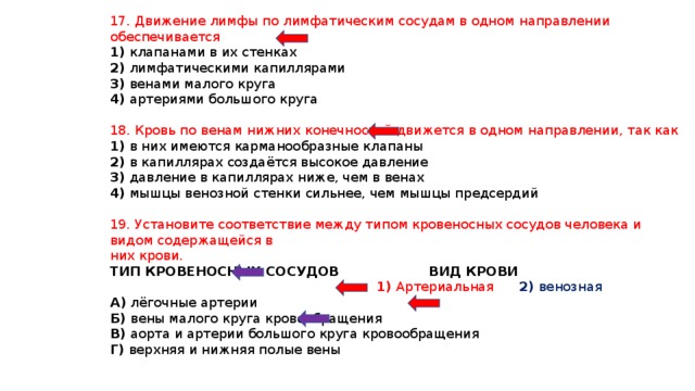 17. Движение лимфы по лимфатическим сосудам в одном направлении обеспечивается 1) клапанами в их стенках 2) лимфатическими капиллярами 3) венами малого круга 4) артериями большого круга 18. Кровь по венам нижних конечностей движется в одном направлении, так как 1) в них имеются карманообразные клапаны 2) в капиллярах создаётся высокое давление 3) давление в капиллярах ниже, чем в венах 4) мышцы венозной стенки сильнее, чем мышцы предсердий 19. Установите соответствие между типом кровеносных сосудов человека и видом содержащейся в них крови. ТИП КРОВЕНОСНЫХ СОСУДОВ ВИД КРОВИ  1) Артериальная 2) венозная А) лёгочные артерии Б) вены малого круга кровообращения В) аорта и артерии большого круга кровообращения Г) верхняя и нижняя полые вены 