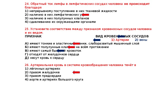 24. Обратный ток лимфы в лимфатических сосудах человека не происходит благодаря 1) непрерывному поступлению в них тканевой жидкости 2) наличию в них лимфатических узлов 3) наличию в них полулунных клапанов 4) сдавливанию их окружающими органами 25. Установите соответствие между признаком кровеносных сосудов человека и их видом. ПРИЗНАК ВИД КРОВЕНОСНЫХ СОСУДОВ  1) Артерии  2) вены А) имеют тонкие и эластичные стенки, слаборазвитый мышечный слой Б) имеют полулунные клапаны на всём протяжении В) имеют самый быстрый кровоток Г) отходят от желудочков сердца Д) несут кровь к сердцу 26. Артериальная кровь в системе кровообращения человека течёт в 1) лёгочных артериях 2) правом желудочке 3) правом предсердии 4) аорте и артериях большого круга 