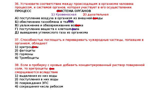 36. Установите соответствие между происходящим в организме человека процессом, и системой органов, которая участвует в его осуществлении. ПРОЦЕСС СИСТЕМА ОРГАНОВ  1) Кровеносная 2) дыхательная А) поступление воздуха в организм из внешней среды Б) обеспечение газообмена в тканях В) увлажнение и обезвреживание воздуха Г) поступление веществ к клеткам тела Д) выведение углекислого газа из организма 37. Способностью поглощать и переваривать чужеродные частицы, попавшие в организм, обладают 1) эритроциты 2) фагоциты 3) гормоны 4) Тромбоциты 38. Если в пробирку с кровью добавить концентрированный раствор поваренной соли, то эритроциты сморщиваются вследствие 1) выделения из них воды 2) поступления в них воды 3) повреждения ЭПС 4) сокращения числа рибосом 