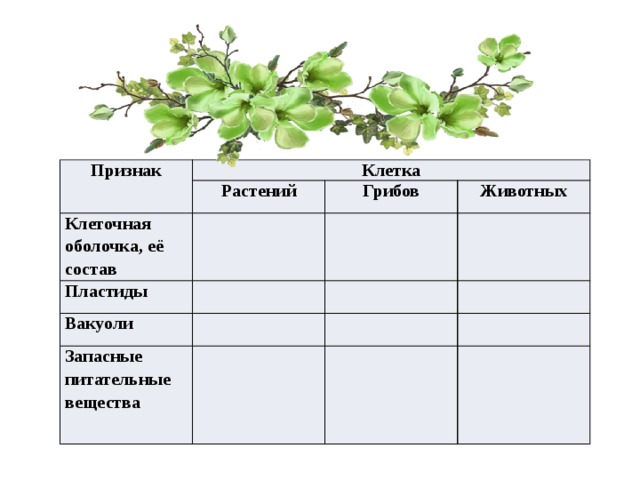 Признаки клетки