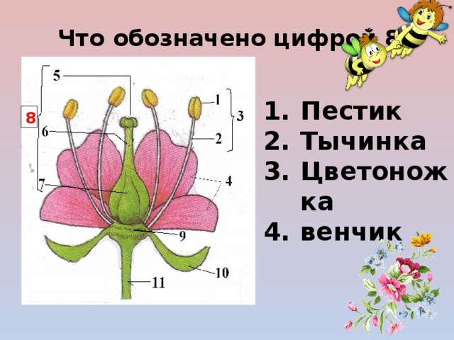 Объясни по рисунку что обозначают записи 2 класс цветы ситникова