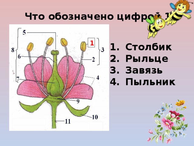 Рассмотрите изображение цветка и выполните задания