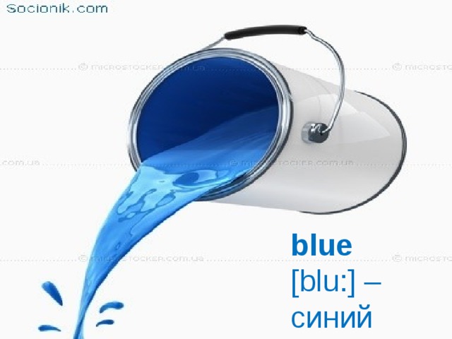 blue   [blu:] –  синий 