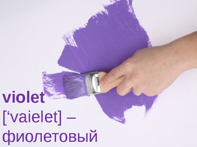 violet   [‘vaielet] –  фиолетовый 
