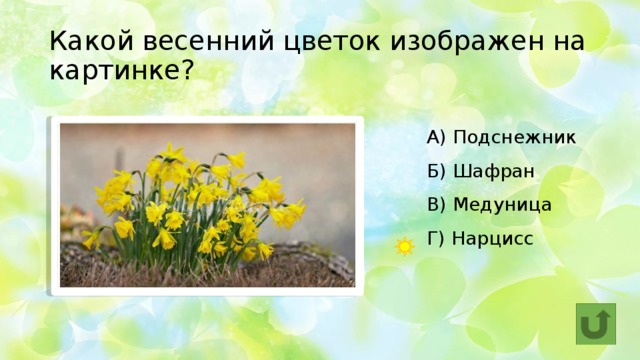 Какой весенний цветок изображен на картинке? А) Подснежник  Б) Шафран  В) Медуница  Г) Нарцисс 