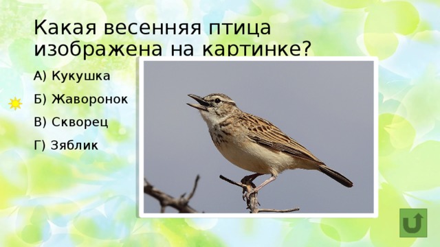Какая весенняя птица изображена на картинке? А) Кукушка  Б) Жаворонок   В) Скворец  Г) Зяблик 