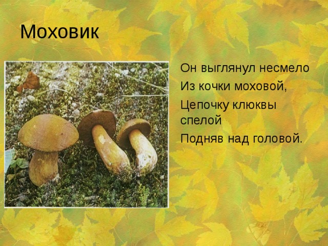 Моховик Он выглянул несмело Из кочки моховой, Цепочку клюквы спелой Подняв над головой. 