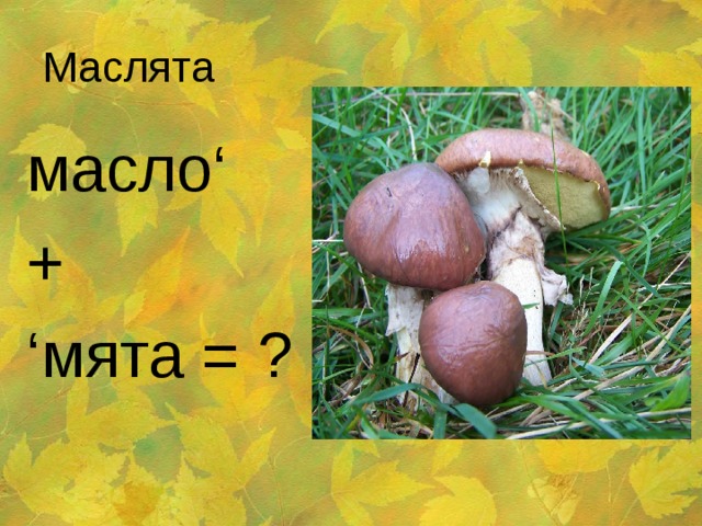 Маслята масло‘ + ‘ мята = ? 