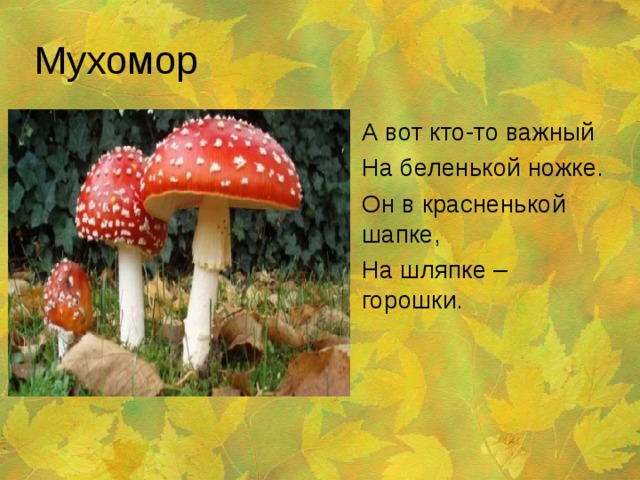 Мухомор А вот кто-то важный На беленькой ножке. Он в красненькой шапке, На шляпке – горошки. 