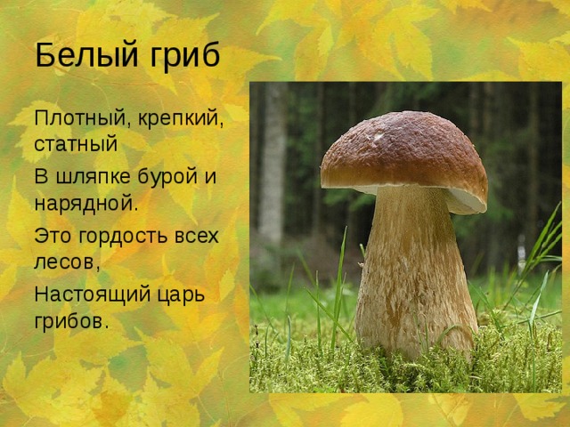Белый гриб Плотный, крепкий, статный В шляпке бурой и нарядной. Это гордость всех лесов, Настоящий царь грибов. 