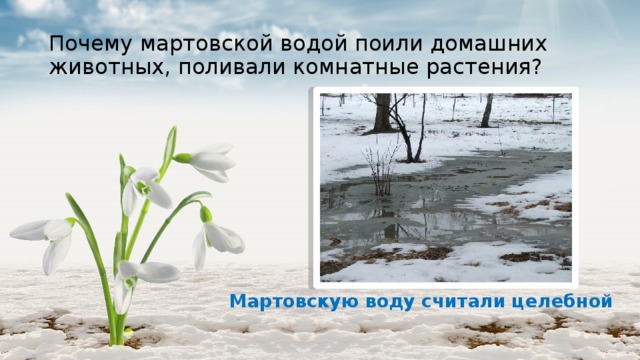Почему мартовской водой поили домашних животных, поливали комнатные растения? Мартовскую воду считали целебной 